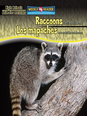 cover image of Raccoons Are Night Animals/Los mapaches son animales nocturnos